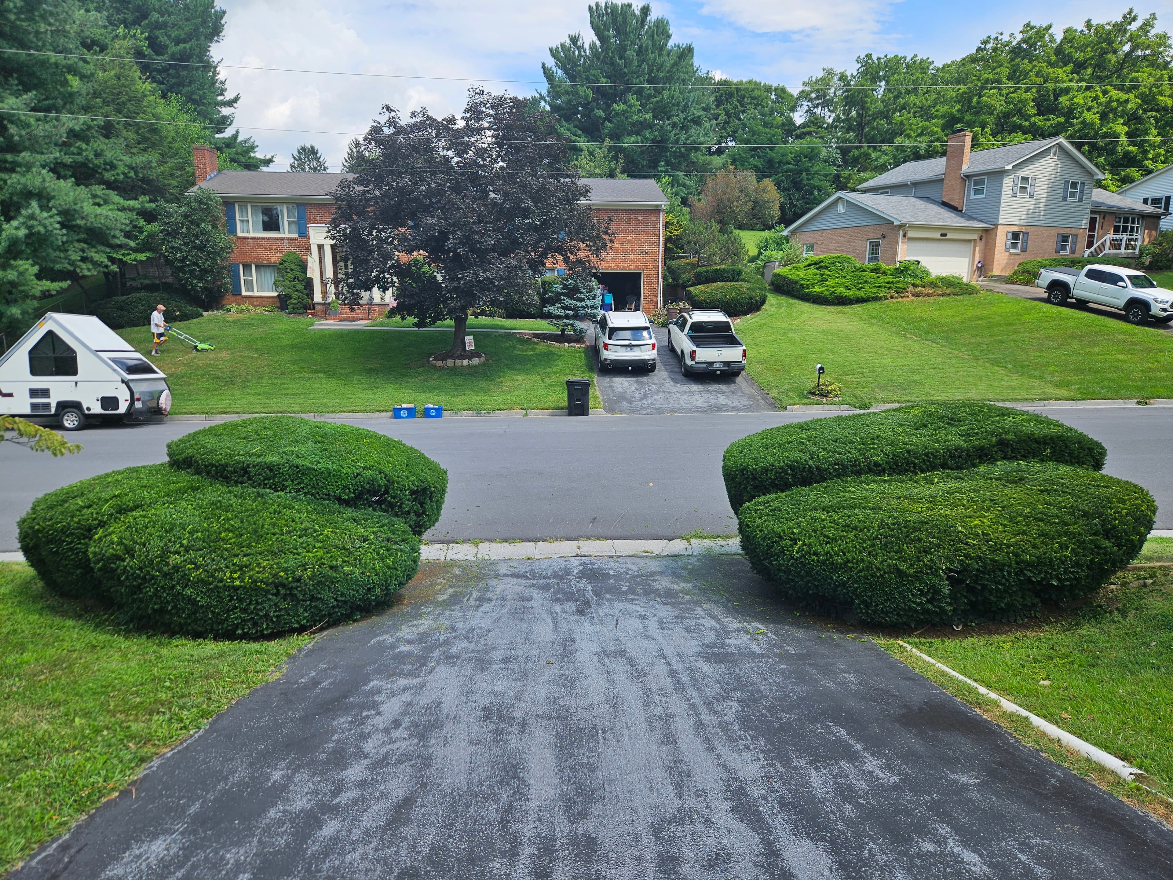 Hedge & Tree Trimming after