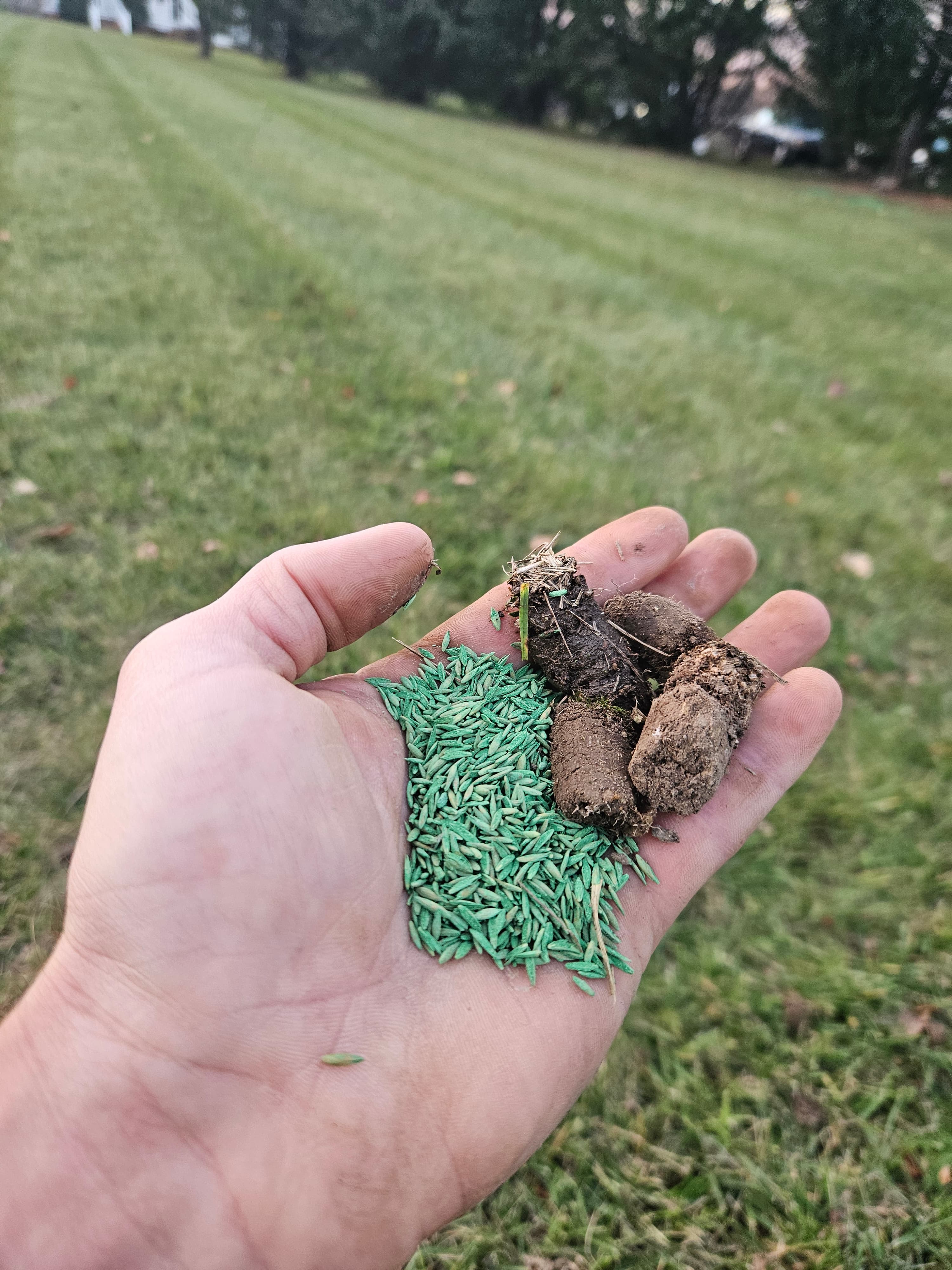 Aeration and seeding