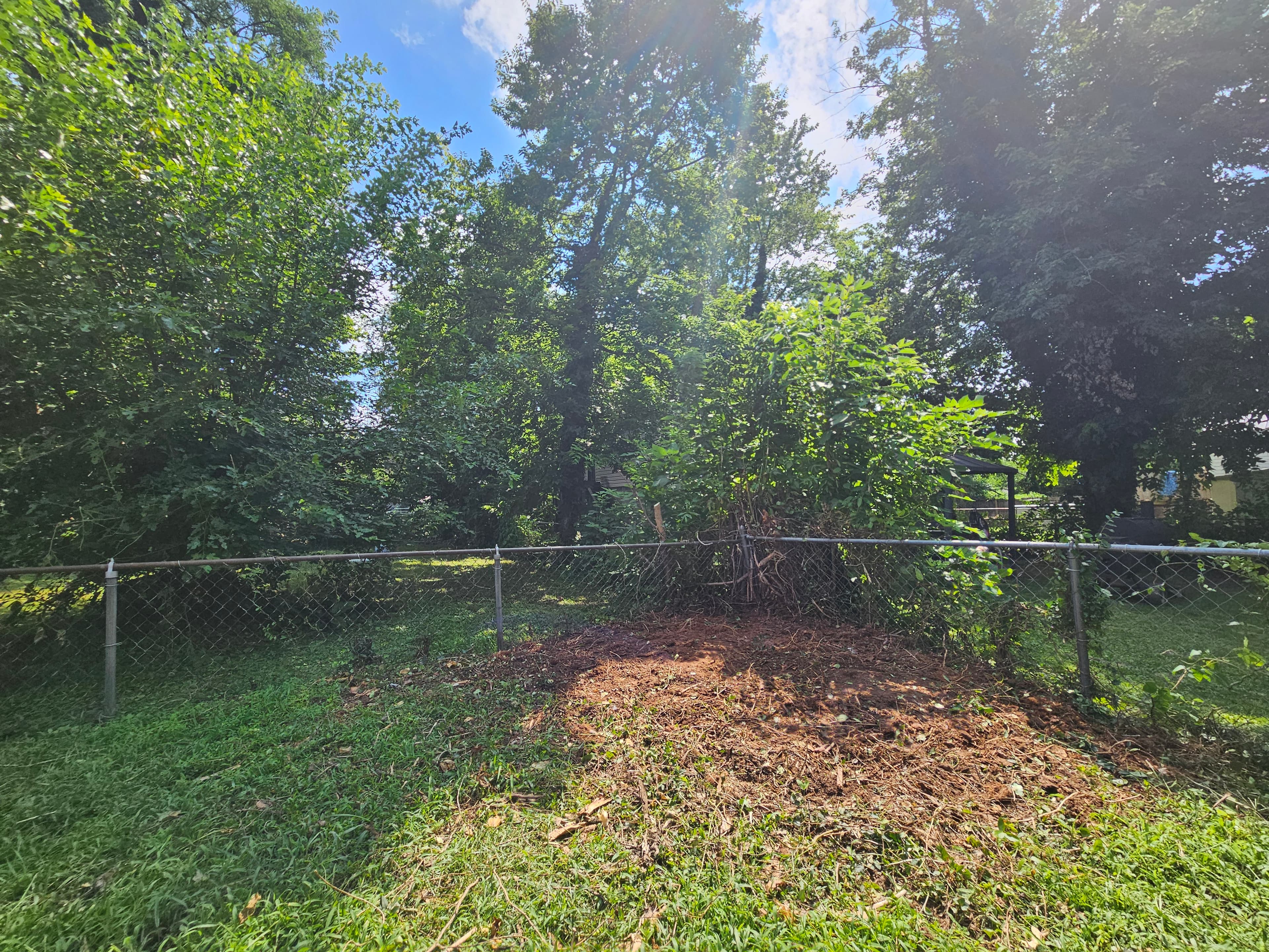 Seasonal Cleanup after